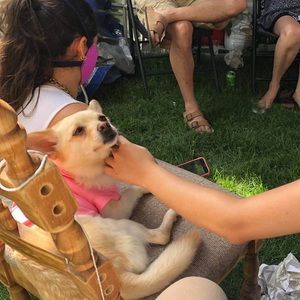 Meet your Posher, Diana